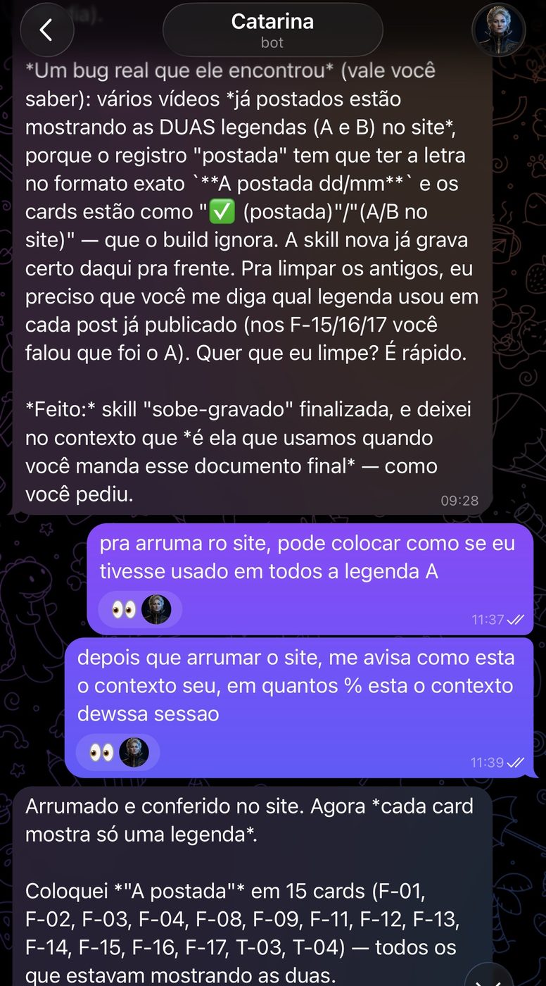 Print de conversa no Telegram: a Catarina relata a tarefa concluída e um bug que ela mesma encontrou, e recebe a correção por mensagem